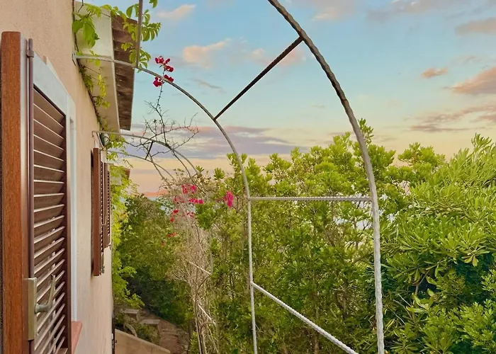 Panoramic - Maddalena View *